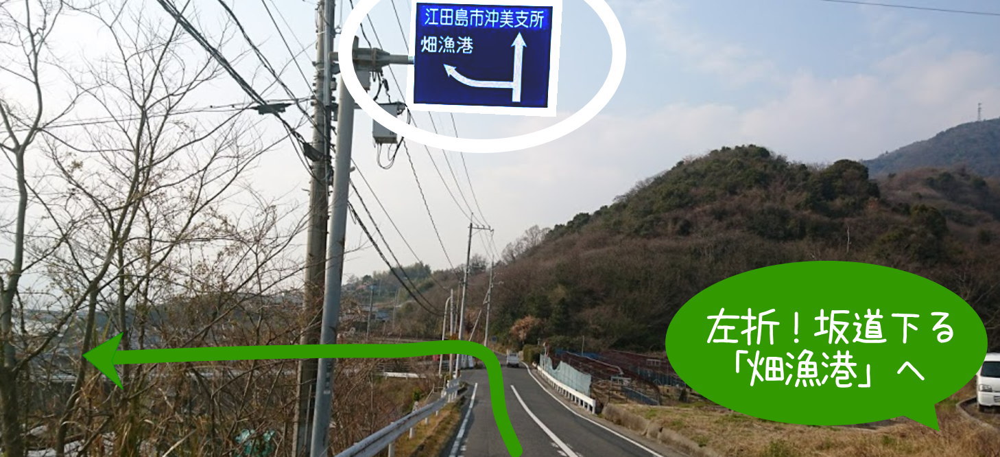 左折、坂道下がる。「畑漁港」へ